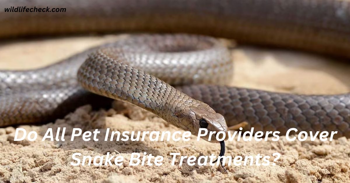 Do All Pet Insurance Providers Cover Snake Bite Treatments?