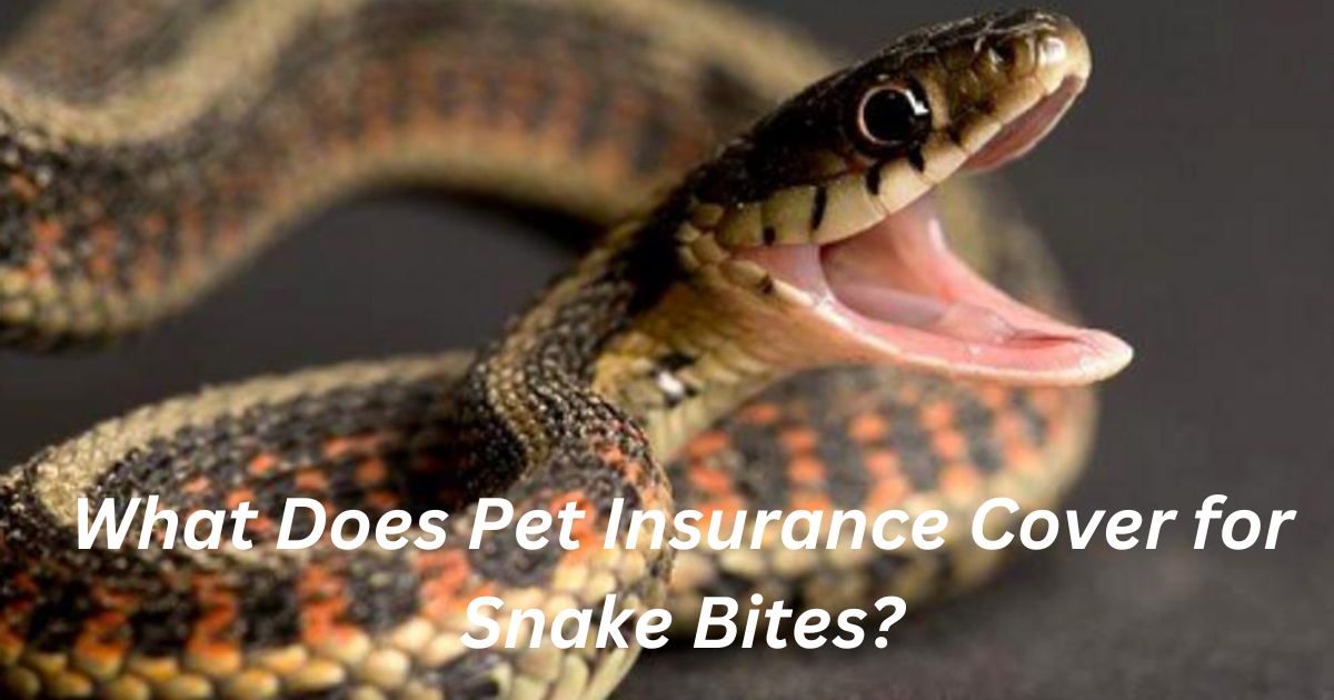 What Does Pet Insurance Cover for Snake Bites?