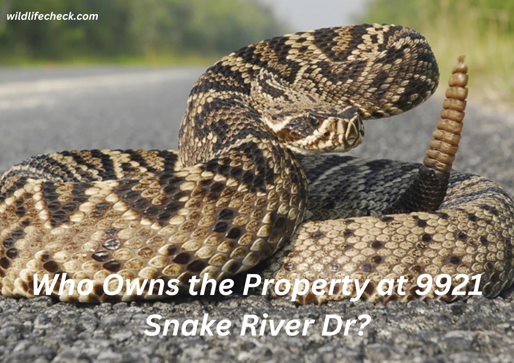 When discussing remarkable addresses like 9921 Snake River Dr, one query that often arises is: Who owns the property?